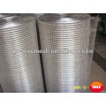 hot-dipped galvanized welded wire mesh(factory)